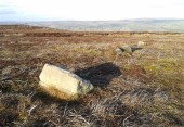 Cup-marked stone & cairn