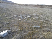 Cairn 1 - looking north