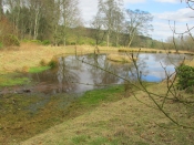 The spring now issues into a recently constructed pond