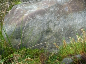 'Cup mark' on vertical face